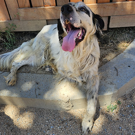 12805805057369485711