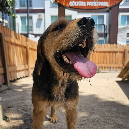 14917146682773491000