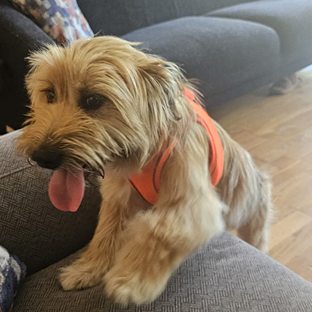 16838307947069128960