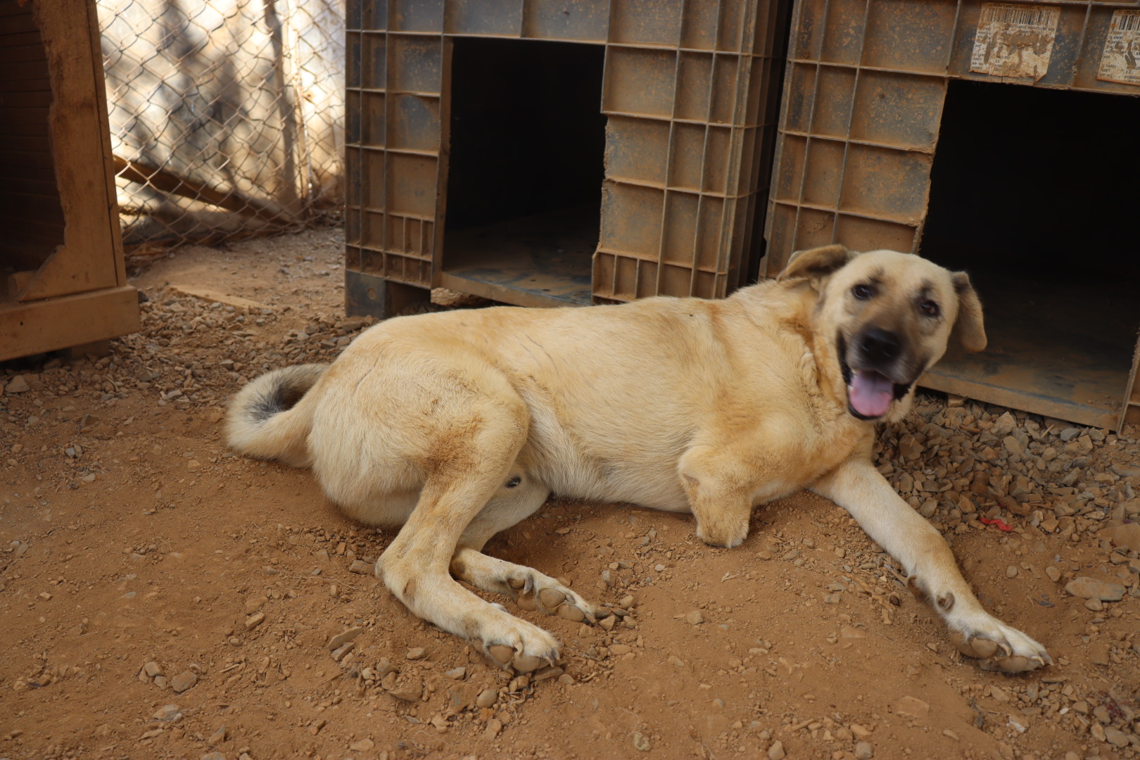 20240810010651_IMG_2481 (1)