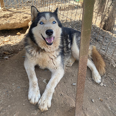 22489267660182736238