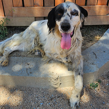 26233180285122032897