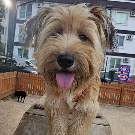 32103210407790594955