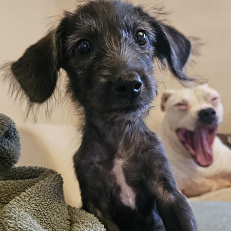 32479965867682974678