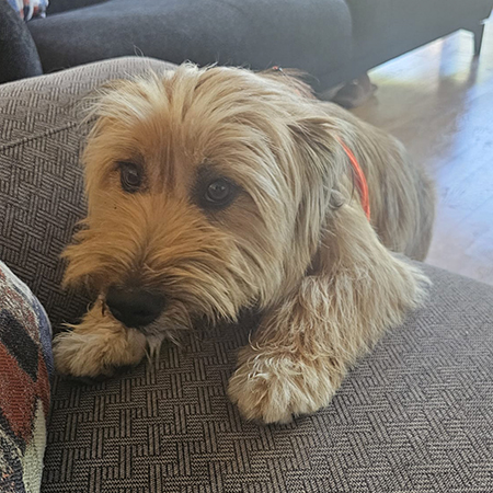 37412603085155580195