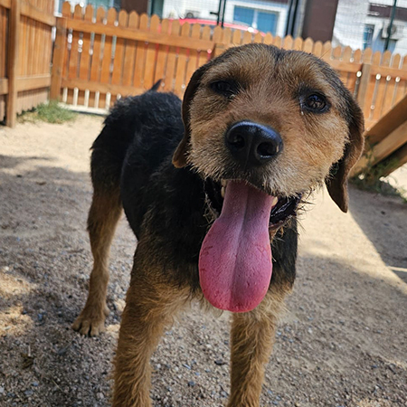 37984854712876223924