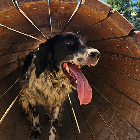 44711195756172560322