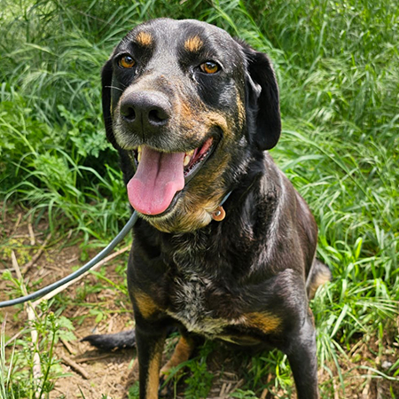 52987478522335244365