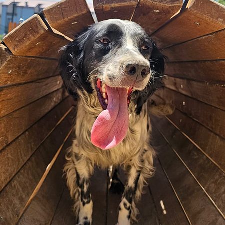 55218186906400673415