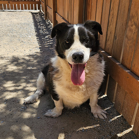 58310188987325894222