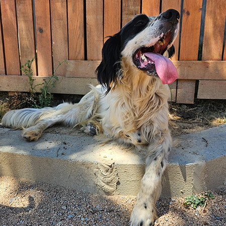 63310482627591585035