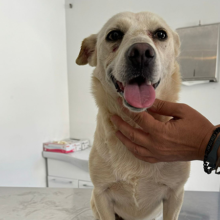 71142632149781005668