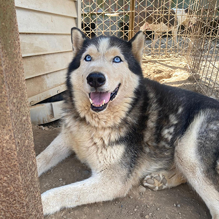 72662516251985527604