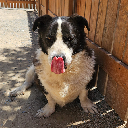 72841639764161547445