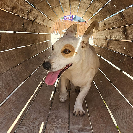 73293699776032651365