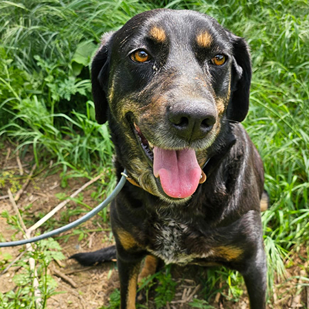 73619204875895879390