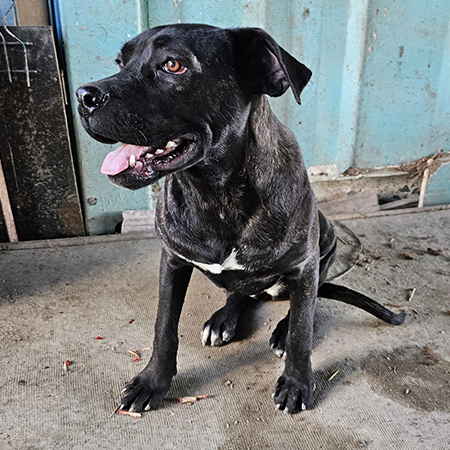 77520996493023004884