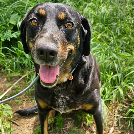 78814677604942495817