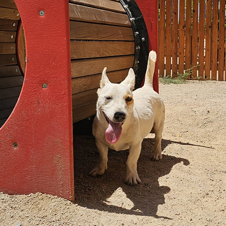 83983052711891680342