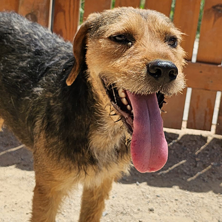 86990882606413990888