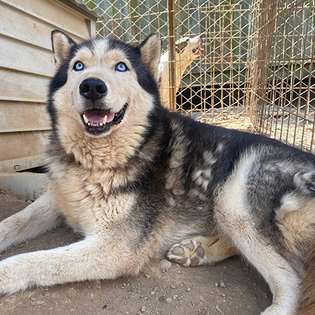 880203904622153210 (1)