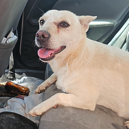 88173431627268966441