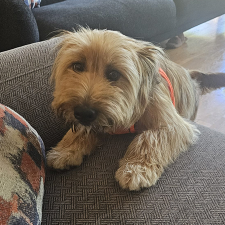 96368957790341515037